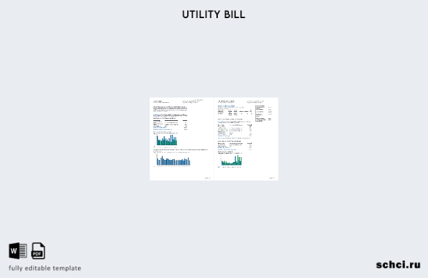 цифровая загрузка США Delmarva Power счета за коммунальные услуги, шаблон стра 1